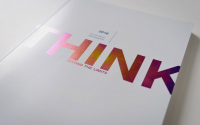 HITS Annual Report 2016